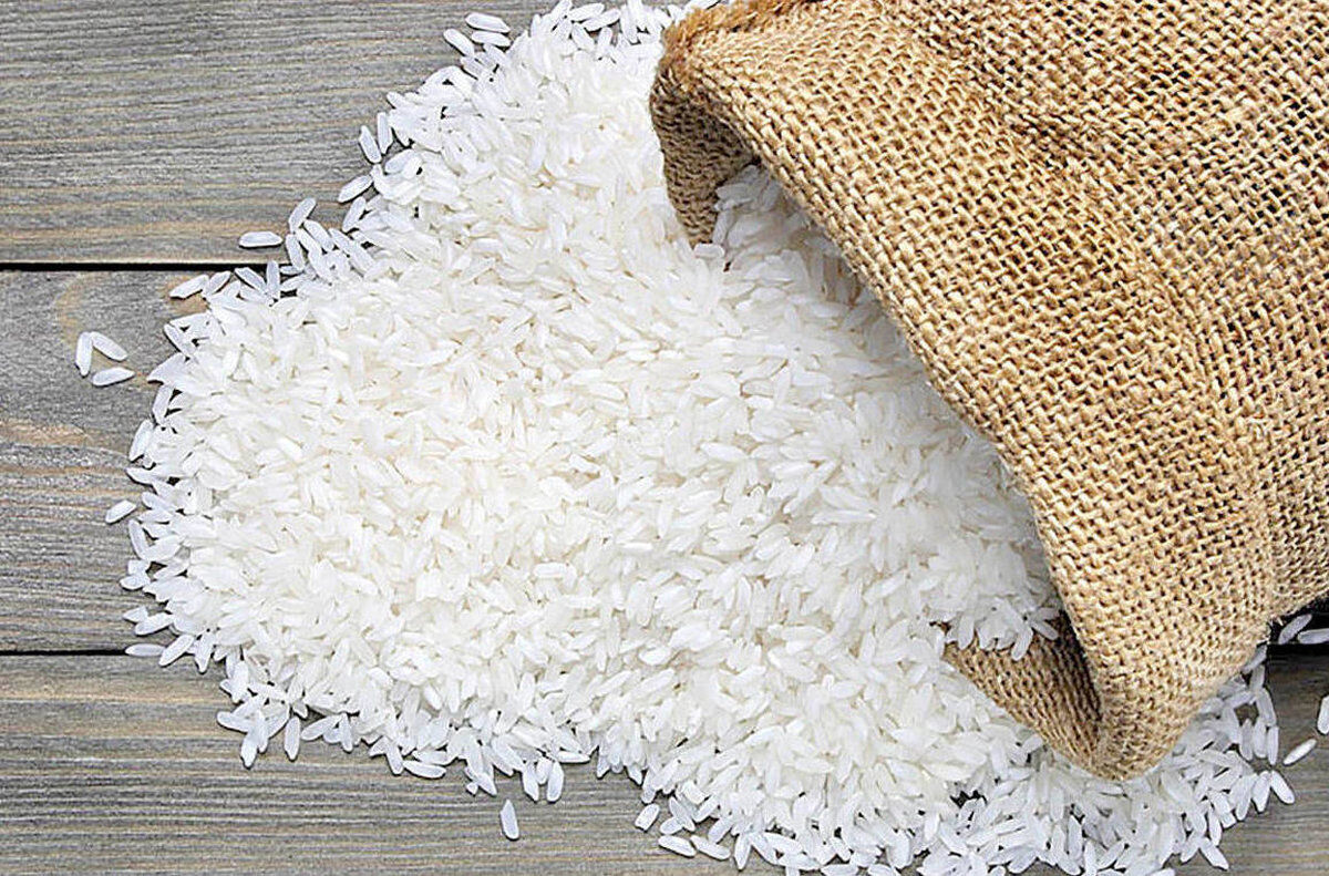 فوری؛ عرضه برنج وارداتی آغاز شد + قیمت فوری؛ عرضه برنج وارداتی آغاز شد + قیمت