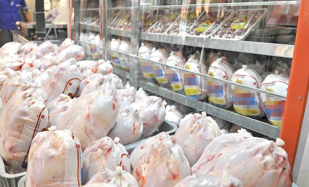 قیمت مرغ امروز ۱۱ آذر ماه در بازار چقدر شد؟ + جدول قیمت مرغ امروز ۱۱ آذر ماه در بازار چقدر شد؟ + جدول