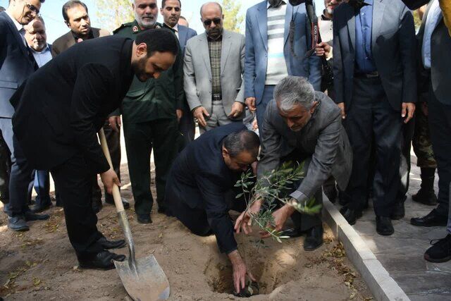 طرح کاشت ۱۶ میلیون درخت در خراسان جنوبی آغاز شد طرح کاشت ۱۶ میلیون درخت در خراسان جنوبی آغاز شد