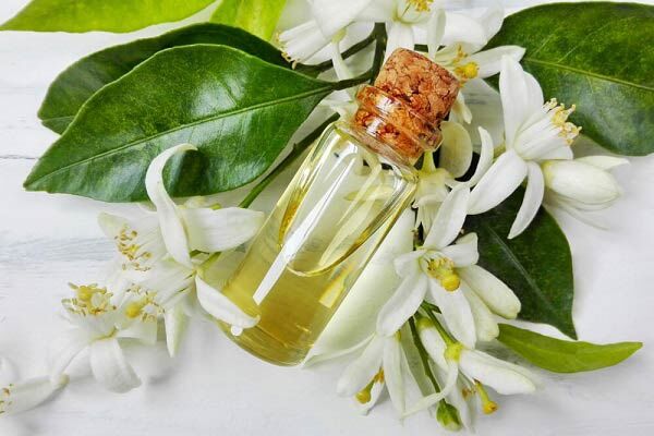 این نوشیدنی را به جای قرص خواب مصرف کنید! این نوشیدنی را به جای قرص خواب مصرف کنید!