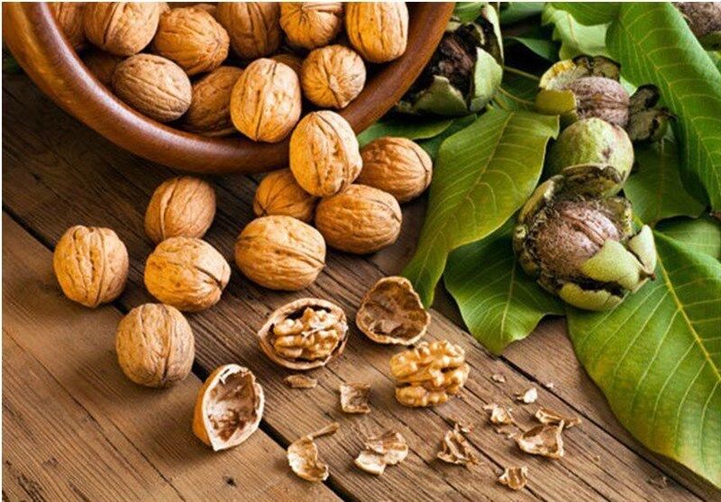 چه موقع از سال گردوی با کیفیت میشه خرید؟ + لیست قیمت انواع گردو چه موقع از سال گردوی با کیفیت میشه خرید؟ + لیست قیمت انواع گردو