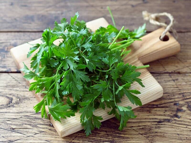 خواص دارویی این گیاه برای قلب! خواص دارویی این گیاه برای قلب!