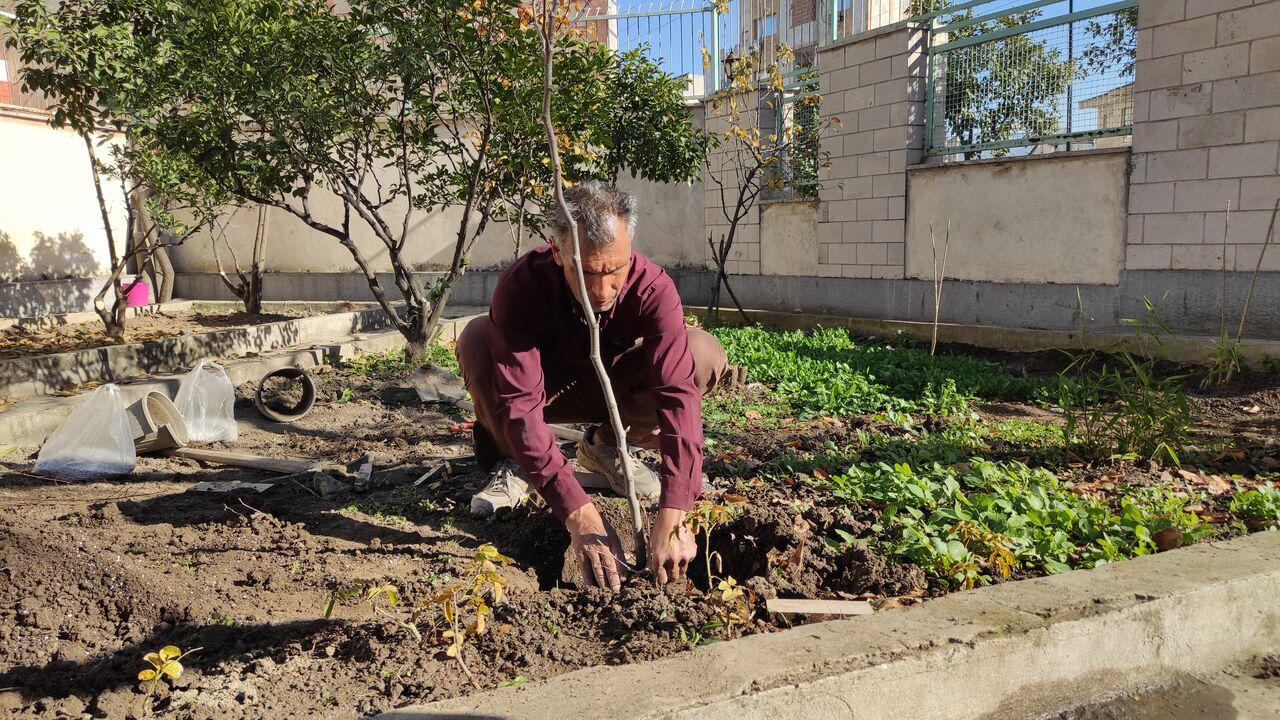 ایران مستعد اجرای طرح کاشت یک میلیارد درخت ایران مستعد اجرای طرح کاشت یک میلیارد درخت