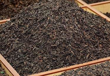 هشدار مهم؛ ماجرای چای سنواتی سرطان زا چیست؟ هشدار مهم؛ ماجرای چای سنواتی سرطان زا چیست؟