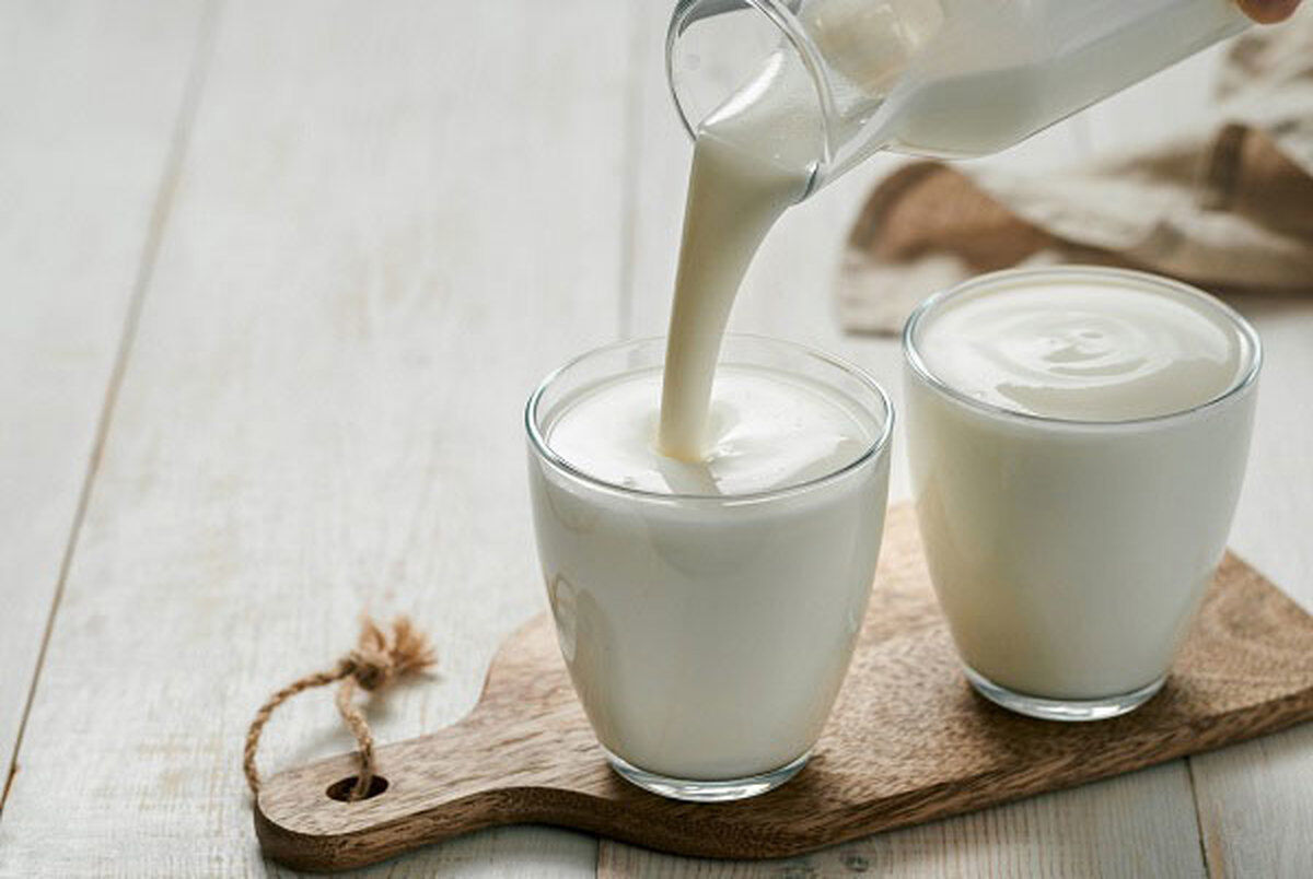 چه کسانی باید شیر بدون لاکتوز بخورند؟ + لیست قیمت انواع شیر پاستوریزه و محلی چه کسانی باید شیر بدون لاکتوز بخورند؟ + لیست قیمت انواع شیر پاستوریزه و محلی