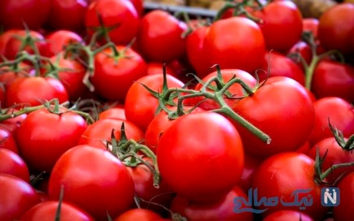 عوارض صادراتی گوجه فرنگی افزایش یافت عوارض صادراتی گوجه فرنگی افزایش یافت