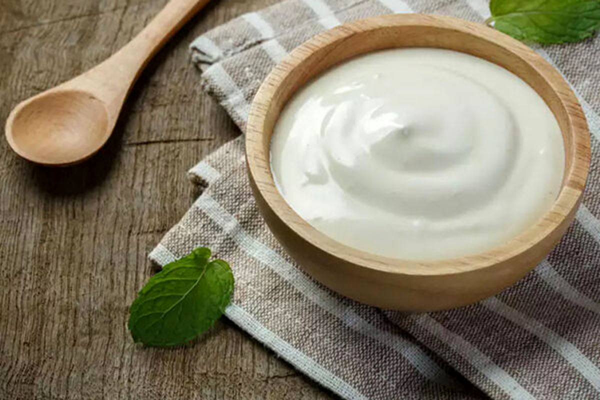 ماست گاوی مقویتره یا گوسفندی؟ + لیست قیمت انواع ماست ماست گاوی مقویتره یا گوسفندی؟ + لیست قیمت انواع ماست