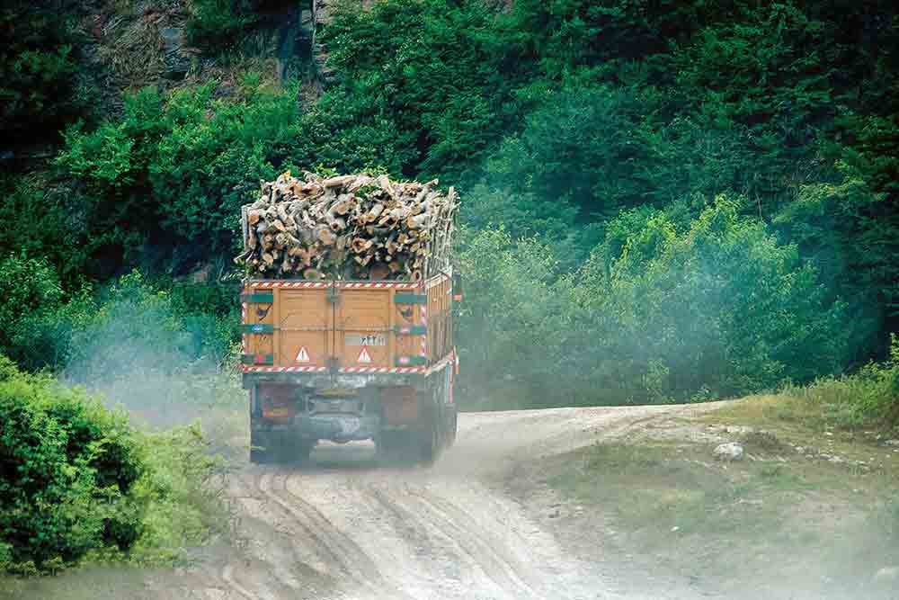 کشف ۱۵ تن چوب قاچاق جنگلی در این شهر کوچک کشف ۱۵ تن چوب قاچاق جنگلی در این شهر کوچک