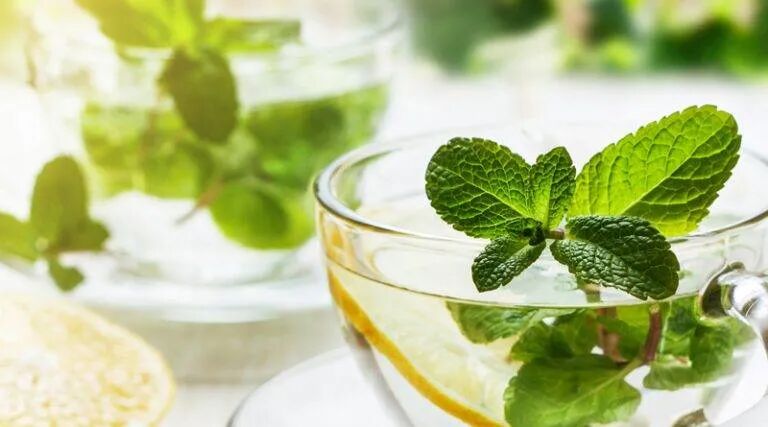 طرز تهیه عرق نغناع خانگی طرز تهیه عرق نغناع خانگی