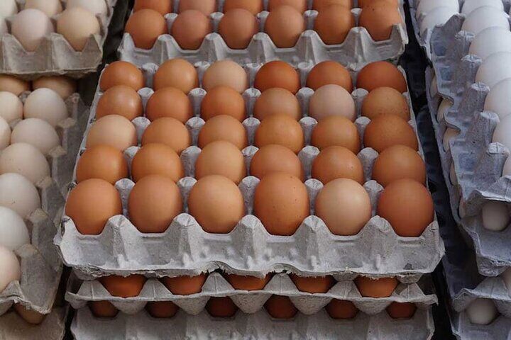 تخم مرغ پوسته قهوهای ۵۰ هزار تومان شد تخم مرغ پوسته قهوهای ۵۰ هزار تومان شد