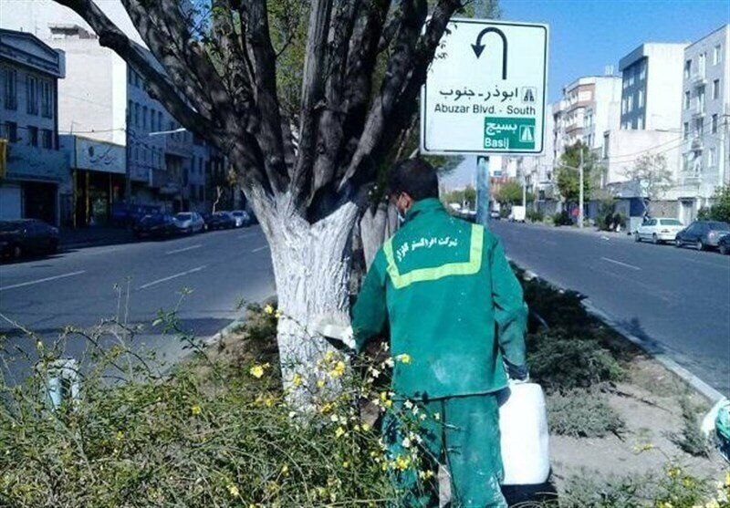 از لمس این نوع درختان خودداری کنند از لمس این نوع درختان خودداری کنند