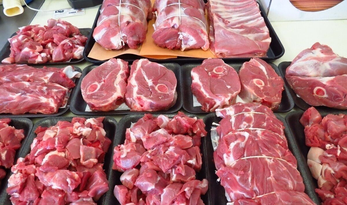 کمبودی در تامین گوشت قرمز نداریم / درخواست چوپانان افغانستانی برای افزایش حقوق کمبودی در تامین گوشت قرمز نداریم / درخواست چوپانان افغانستانی برای افزایش حقوق