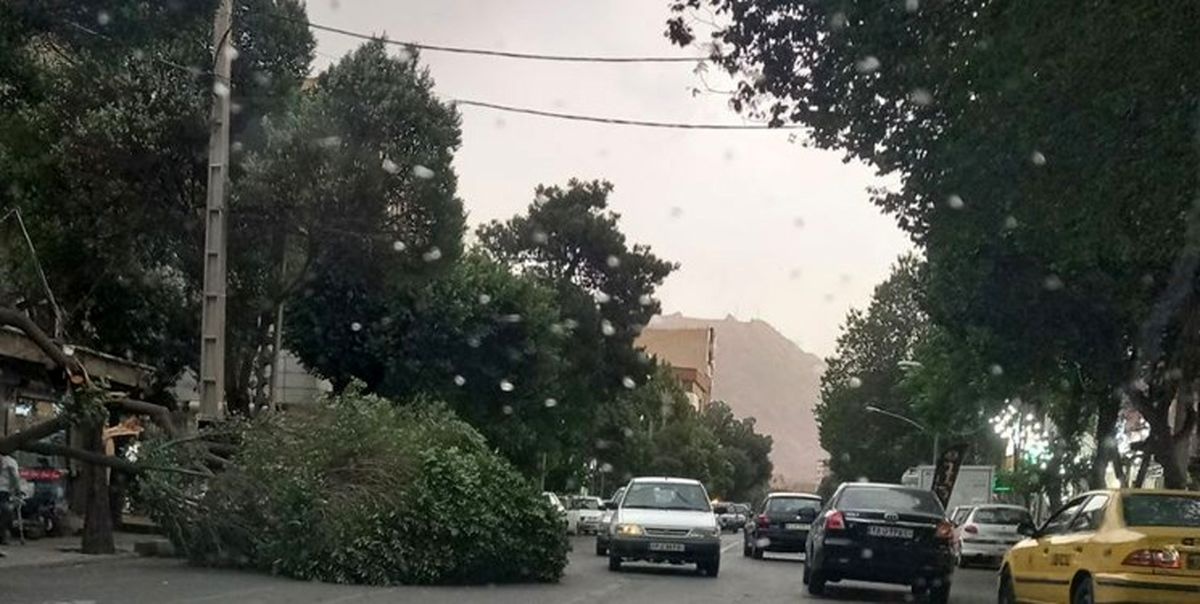 هشدار به تهرانیها؛ وزش باد خیلی شدید در راه است هشدار به تهرانیها؛ وزش باد خیلی شدید در راه است