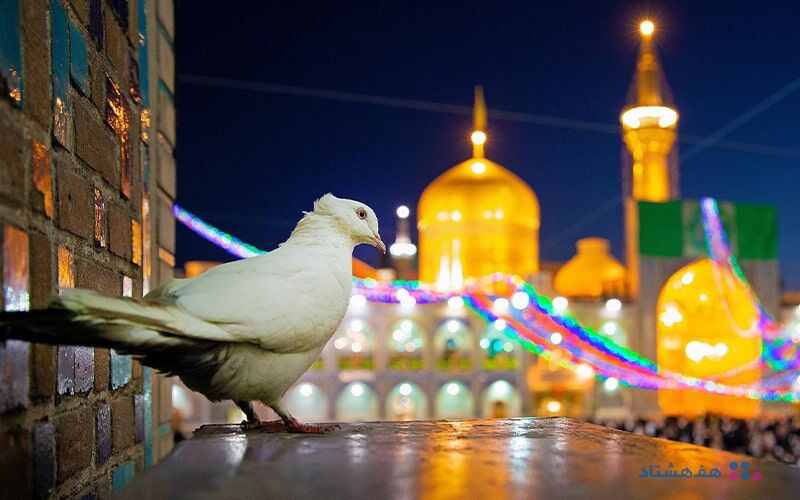سفر ۸ میلیون نفر به مشهد در ایام عید سفر ۸ میلیون نفر به مشهد در ایام عید