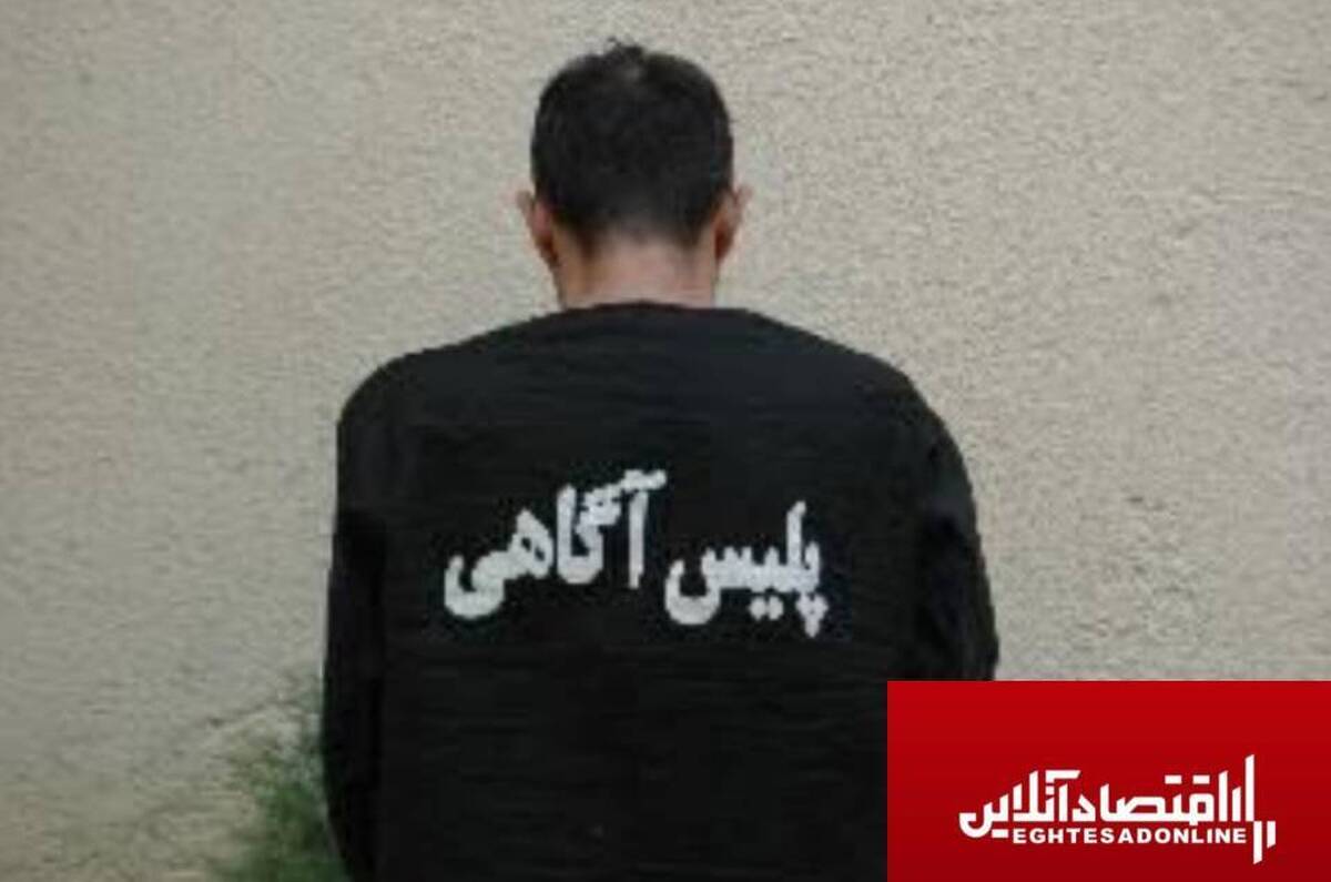 دستگیری کلاهبردار «پرداخت وام بانکی» با ۳۰۰ نفر شاکی در البرز دستگیری کلاهبردار «پرداخت وام بانکی» با ۳۰۰ نفر شاکی در البرز