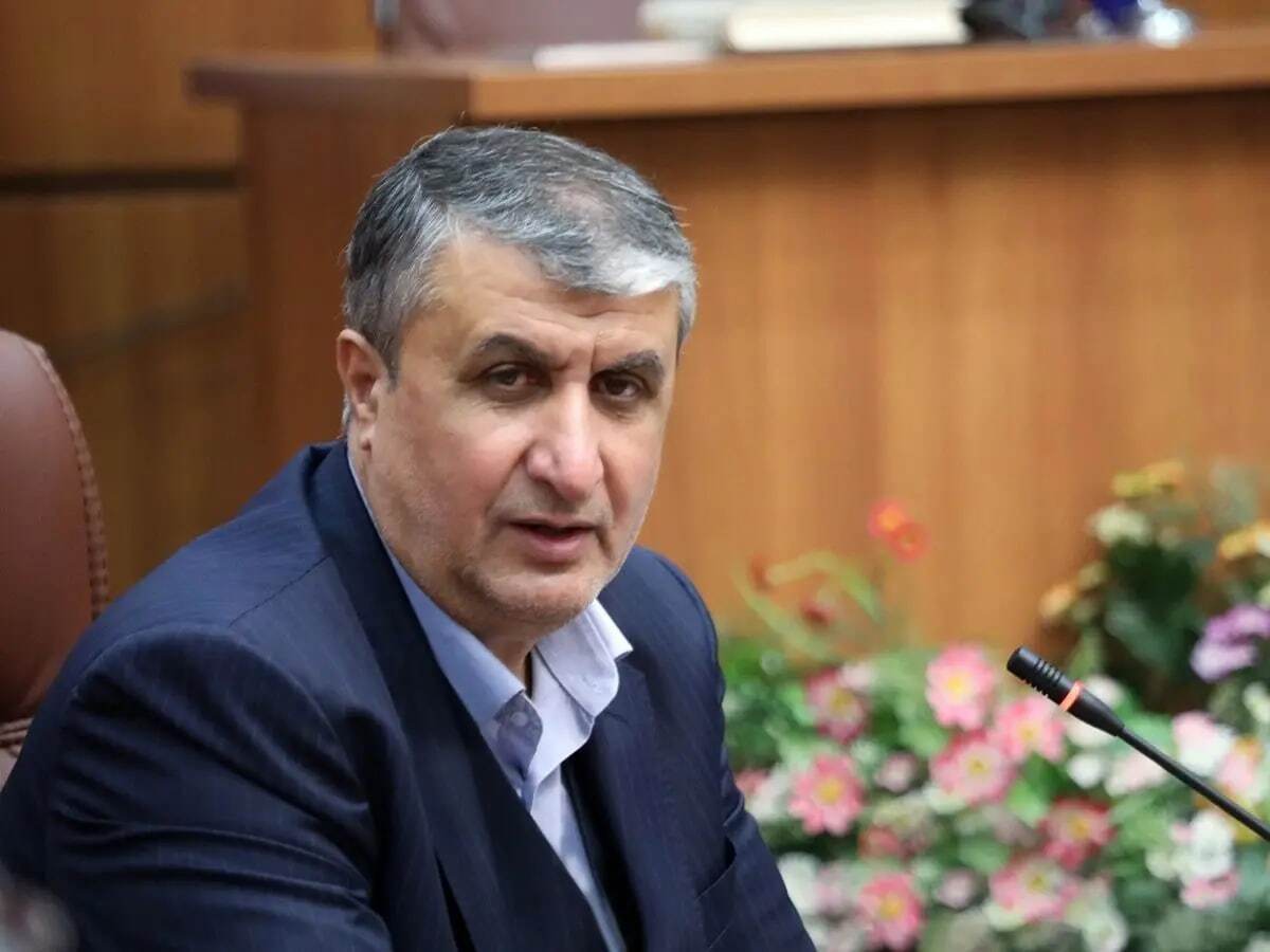 اسلامی: نمیخواهند ایران از سال دهم برجام استفاده کند اسلامی: نمیخواهند ایران از سال دهم برجام استفاده کند
