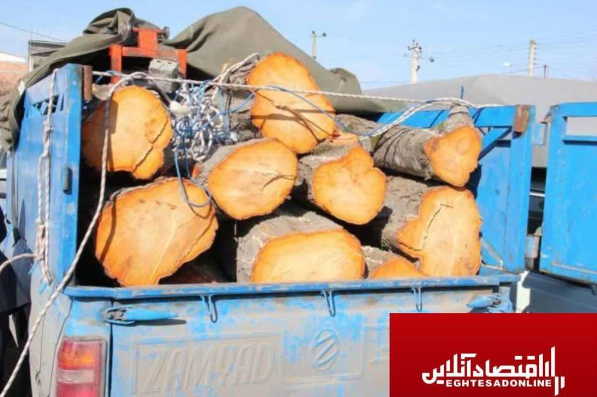 کشف حدود یک و نیم تن چوب قاچاق در «نظرآباد» کشف حدود یک و نیم تن چوب قاچاق در «نظرآباد»