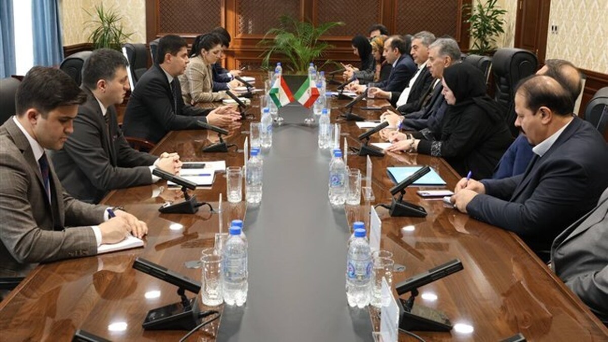ایران باید اولین شریک تجاری تاجیکستان باشد ایران باید اولین شریک تجاری تاجیکستان باشد
