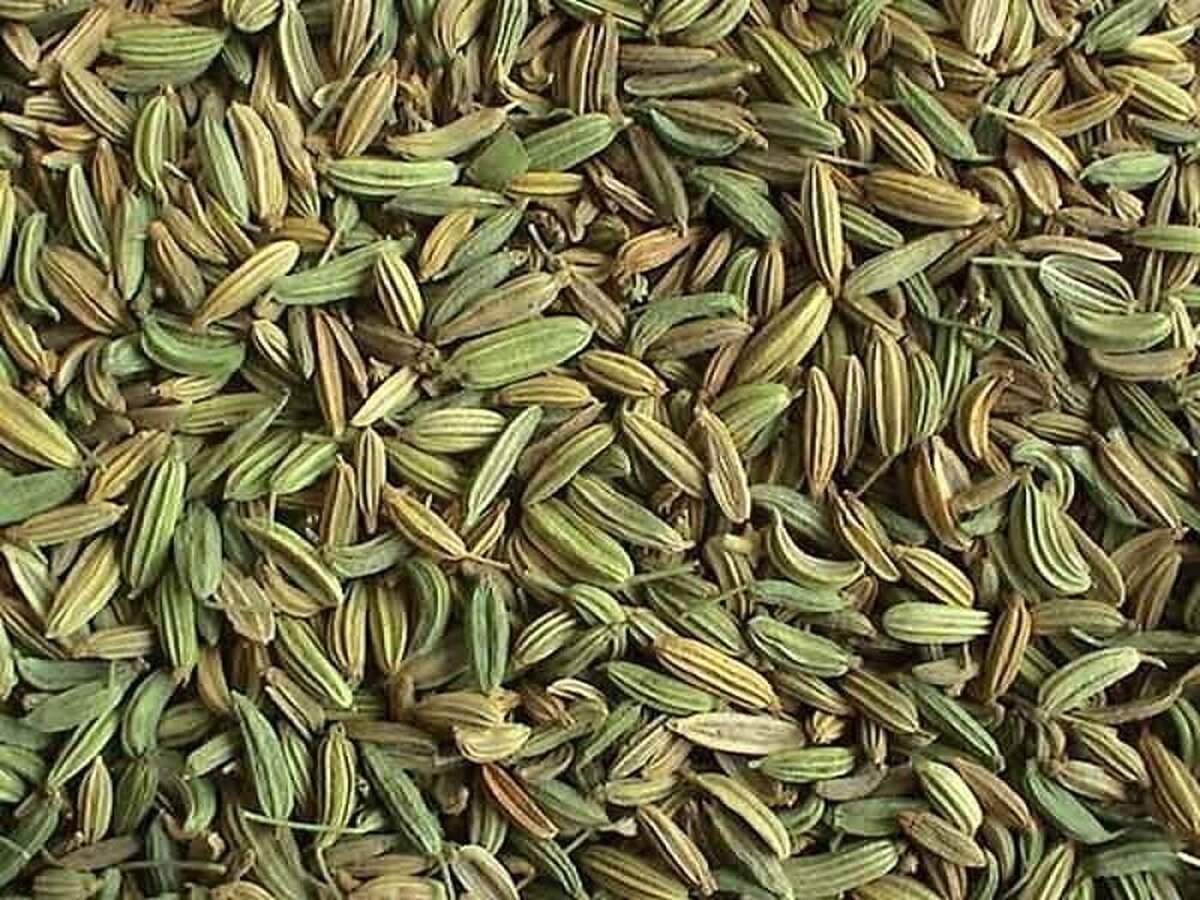 خواص زیره سبز / از لاغری تا بهبود سیستم ایمنی بدن خواص زیره سبز / از لاغری تا بهبود سیستم ایمنی بدن