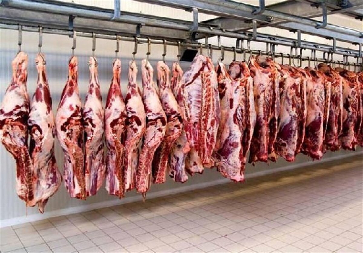 قیمت گوشت امروز دوشنبه ۳ دی ۱۴۰۳ / گوشت گوسفندی کیلویی چند؟ قیمت گوشت امروز دوشنبه ۳ دی ۱۴۰۳ / گوشت گوسفندی کیلویی چند؟
