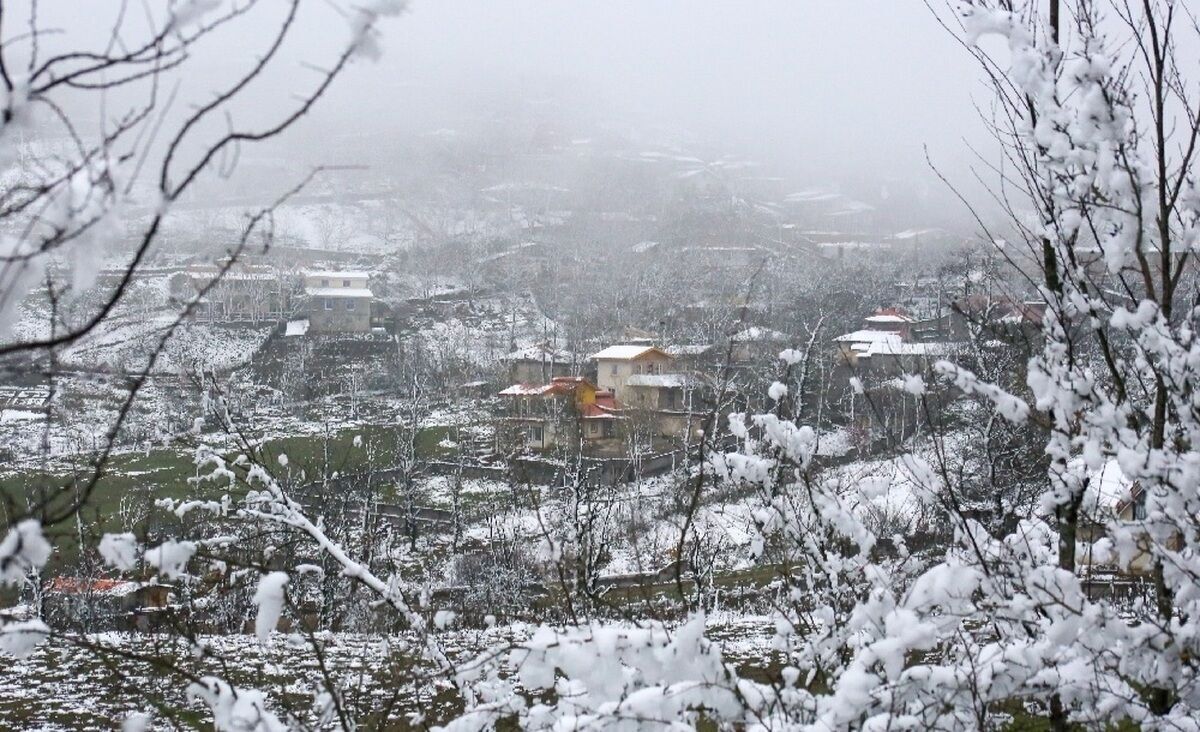 هواشناسی مازندران / زمان بارش برف و باران مشخص شد هواشناسی مازندران / زمان بارش برف و باران مشخص شد