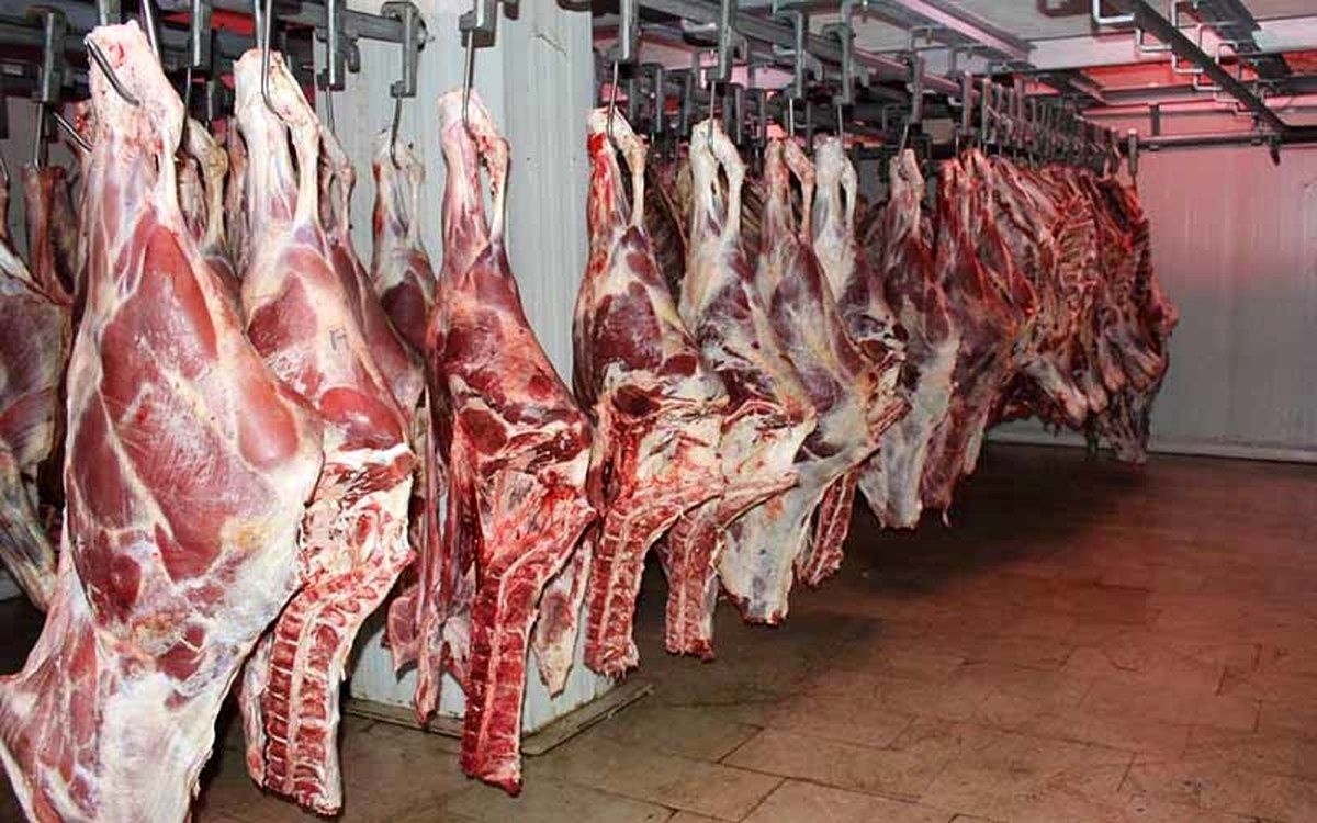 حذف واردات گوشت قرمز / گوشت دوباره گران میشود؟ حذف واردات گوشت قرمز / گوشت دوباره گران میشود؟