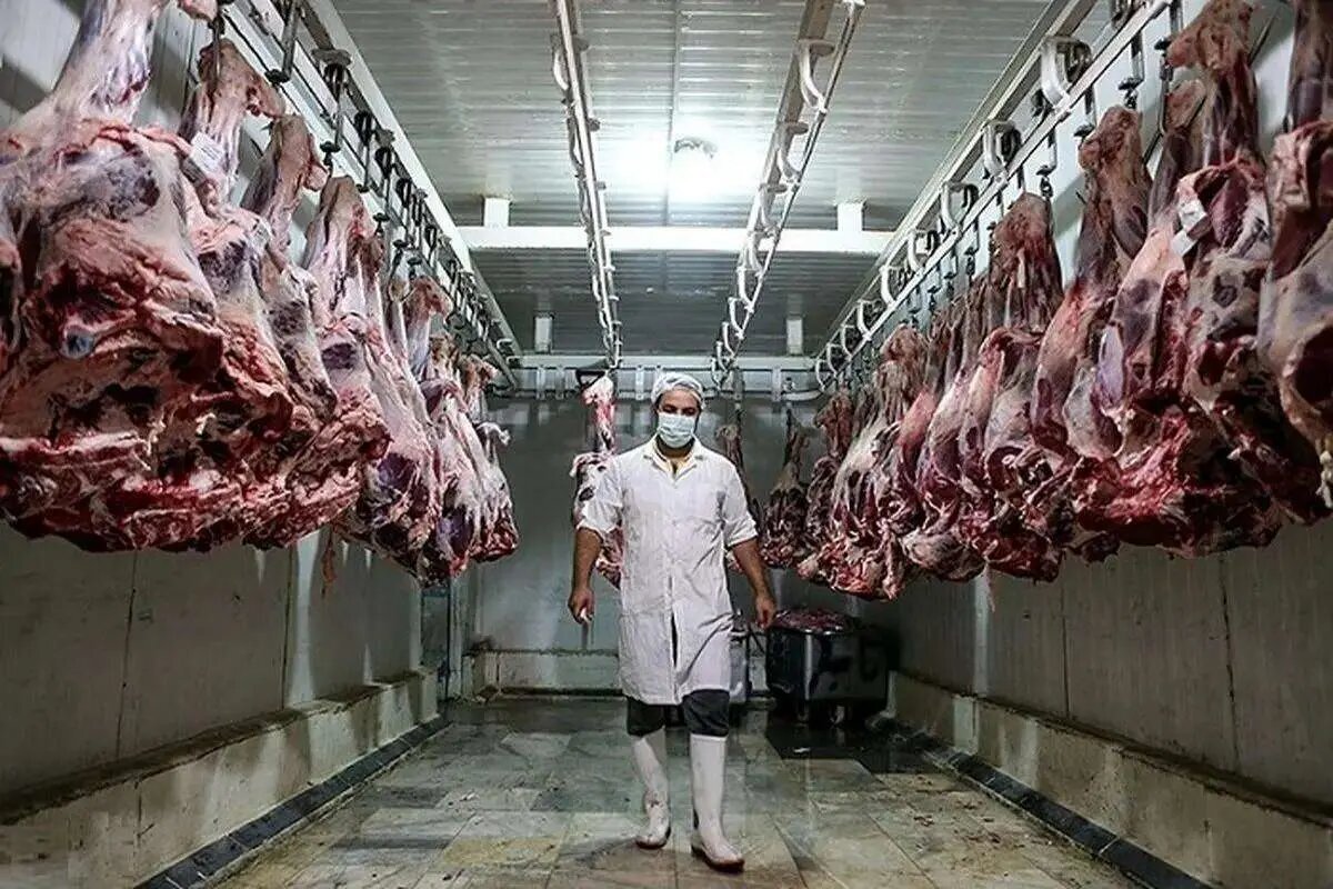 قیمت گوشت قرمز چقدر شد؟ قیمت گوشت قرمز چقدر شد؟
