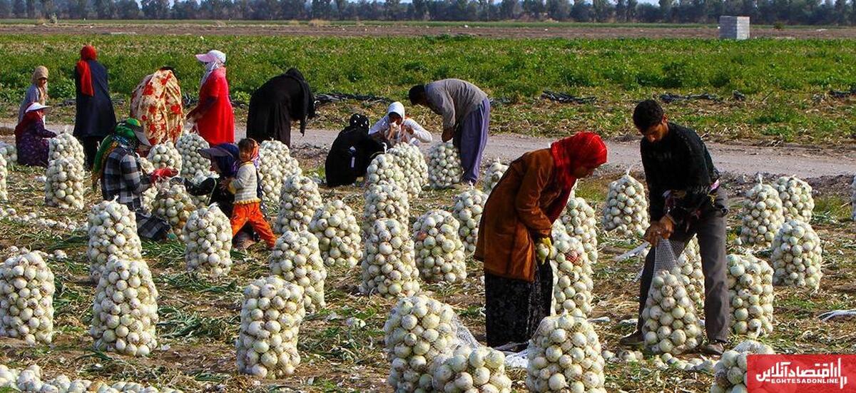 اشتغالزایی در اردبیل؛ ۲۴۴ طرح اقتصادی و سرمایهگذاری در روستاها آغاز شد اشتغالزایی در اردبیل؛ ۲۴۴ طرح اقتصادی و سرمایهگذاری در روستاها آغاز شد