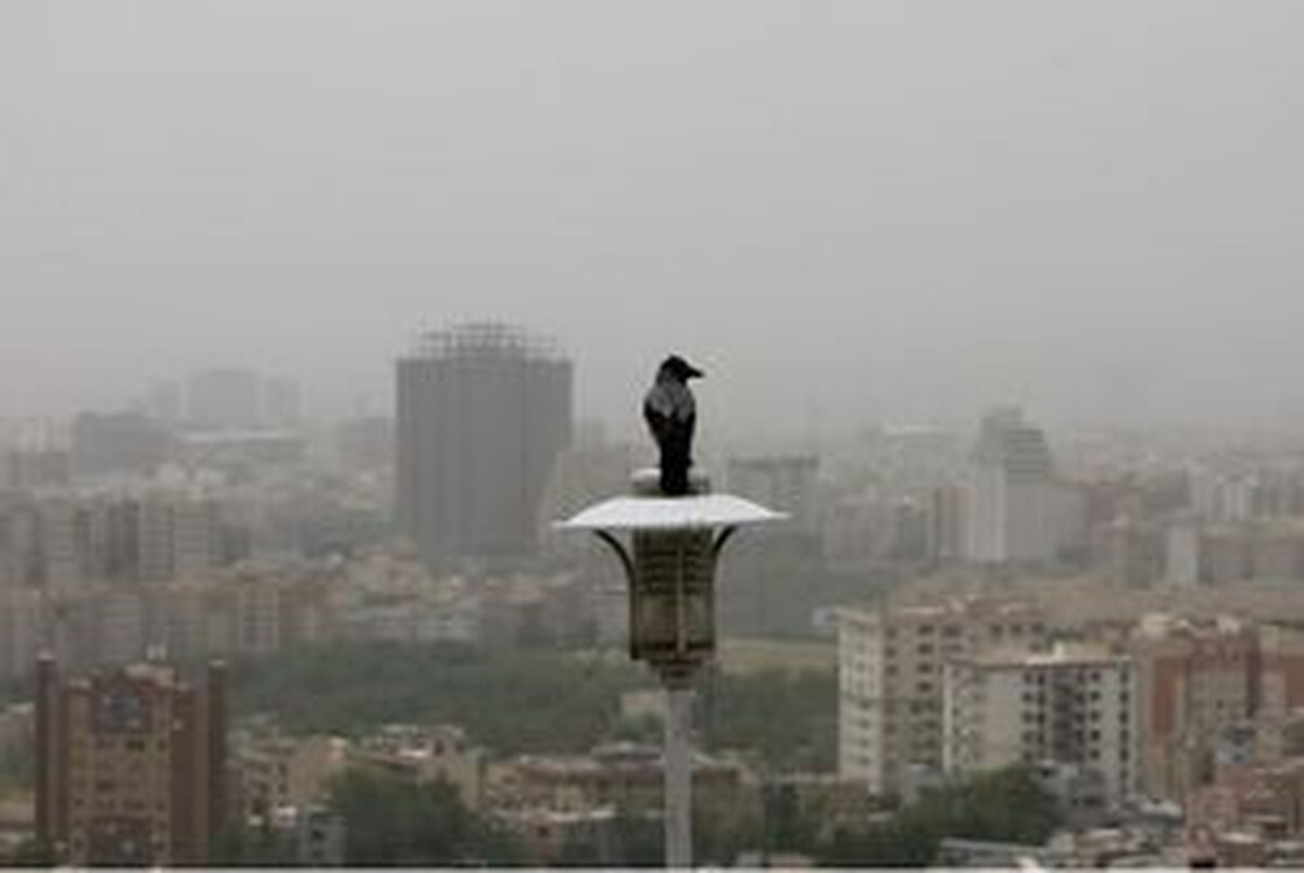 کیفیت هوای تهران طی ۲۴ ساعت گذشته ناسالم برای همه گروهها کیفیت هوای تهران طی ۲۴ ساعت گذشته ناسالم برای همه گروهها