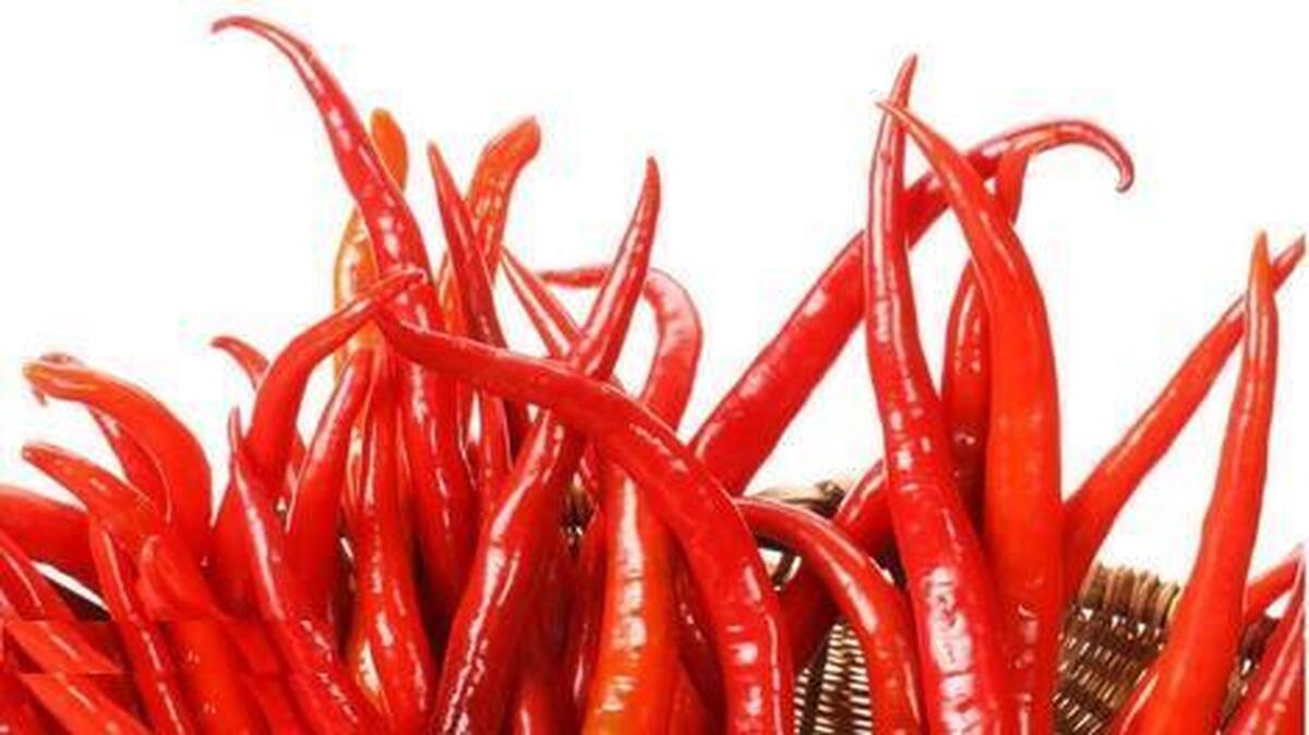 یک توصیه مهم برای سلامت قلب/ جایگزینی برای نمک در سفره یک توصیه مهم برای سلامت قلب/ جایگزینی برای نمک در سفره