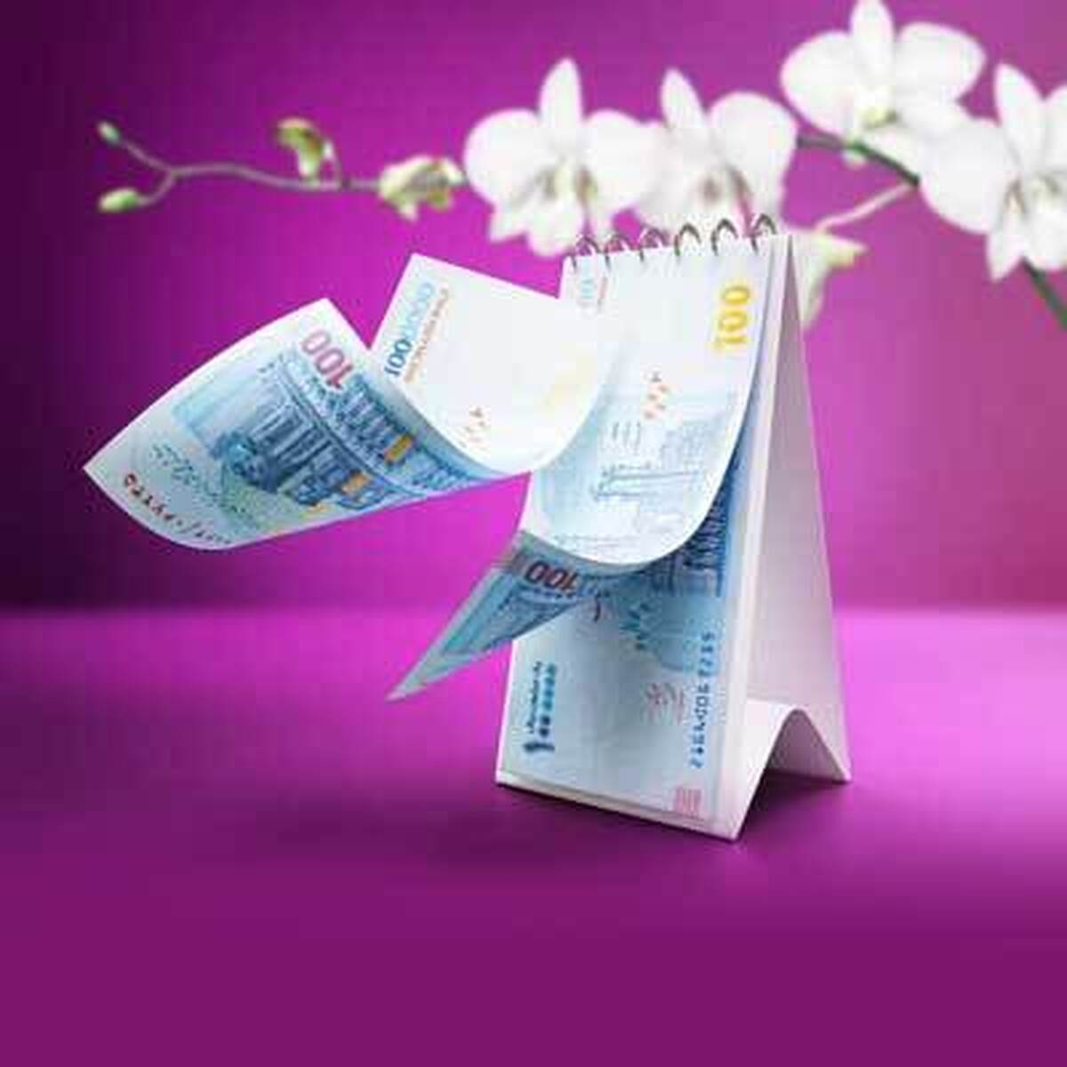 رونمایی از بیمه زندگی «ارکیده» تحولی نوین در سرمایهگذاری مطمئن رونمایی از بیمه زندگی «ارکیده» تحولی نوین در سرمایهگذاری مطمئن