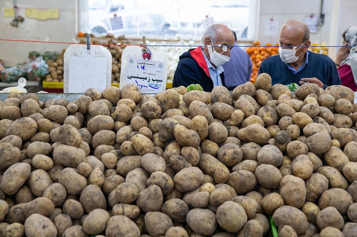 سیب زمینی ۲۸ هزار تومانی را از کجا خریداری کنیم؟ سیب زمینی ۲۸ هزار تومانی را از کجا خریداری کنیم؟