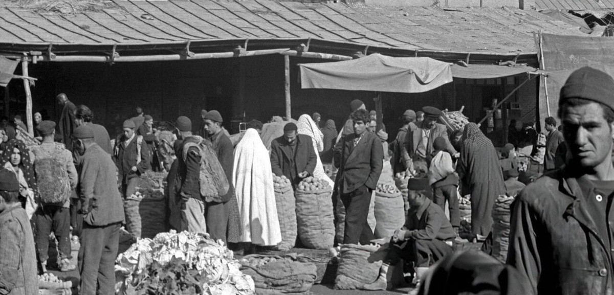 مرد تهرانی بخاطر حمله شپشها کشته شد! + عکس مرد تهرانی بخاطر حمله شپشها کشته شد! + عکس