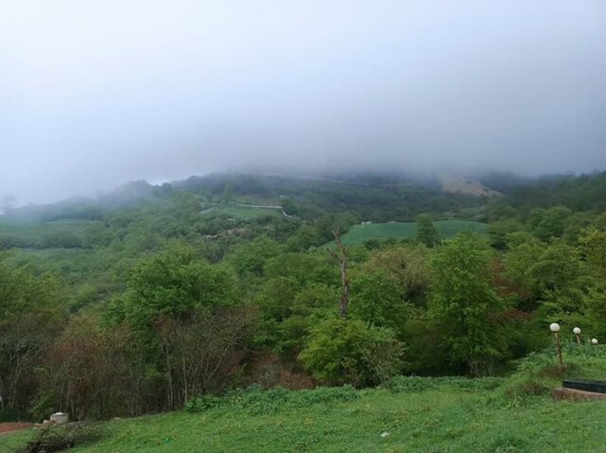 آب و هوای مازندران پایدار است/ هواشناسی ۲۳ بهمن آب و هوای مازندران پایدار است/ هواشناسی ۲۳ بهمن