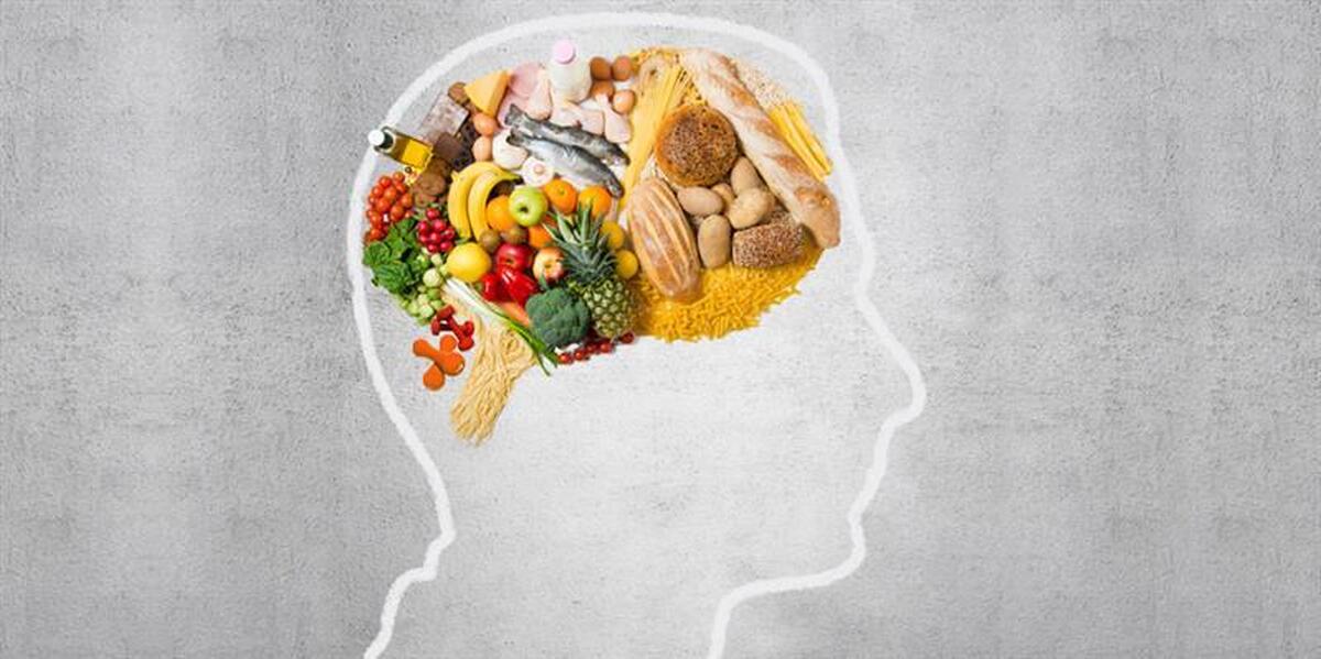 کدام خوراکی ها باعث کوچک شدن مغز میشوند؟ کدام خوراکی ها باعث کوچک شدن مغز میشوند؟