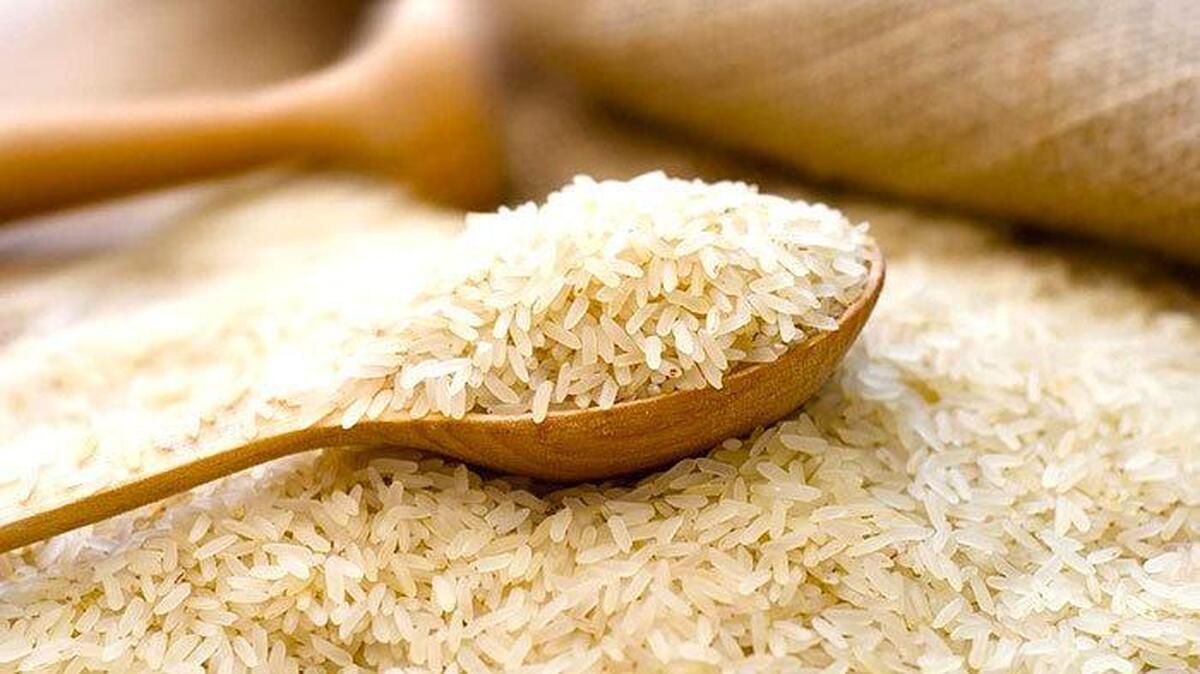 دلیل افزایش قیمت برنج مشخص شد/ راهکار مهم برای کنترل بازار دلیل افزایش قیمت برنج مشخص شد/ راهکار مهم برای کنترل بازار