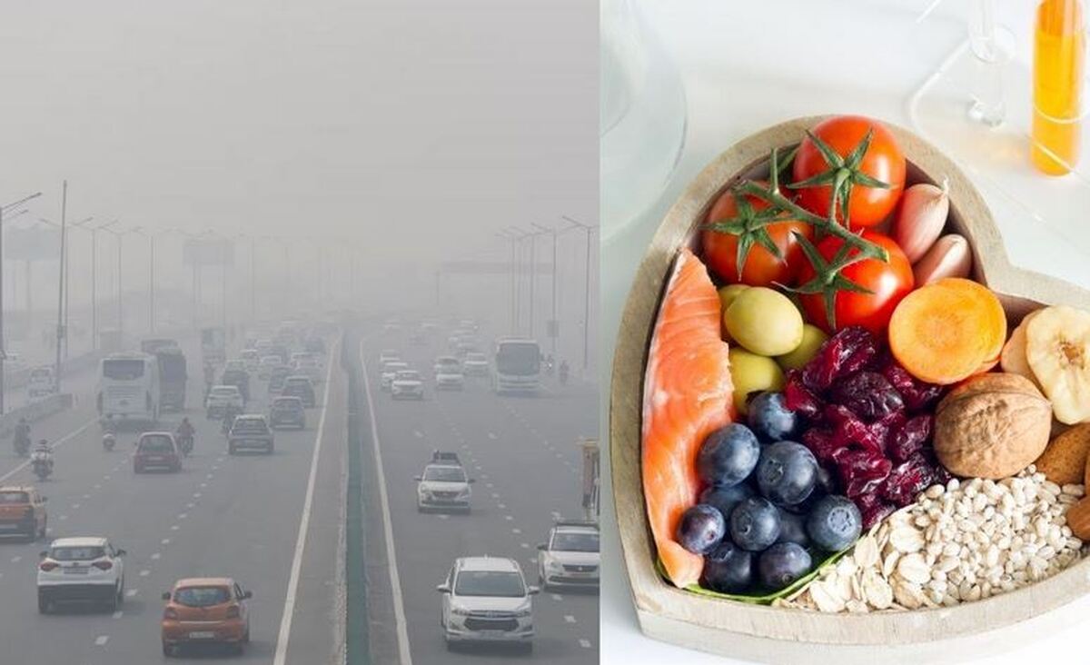 خوراکیهای مفید و مضر در مواقع آلودگی هوا خوراکیهای مفید و مضر در مواقع آلودگی هوا