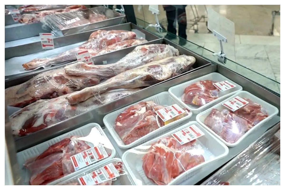 آغاز توزیع گوشت قرمز دولتی بهمن ۱۴۰۳ / از کجا گوشت تنظیم بازاری بخریم؟ آغاز توزیع گوشت قرمز دولتی بهمن ۱۴۰۳ / از کجا گوشت تنظیم بازاری بخریم؟