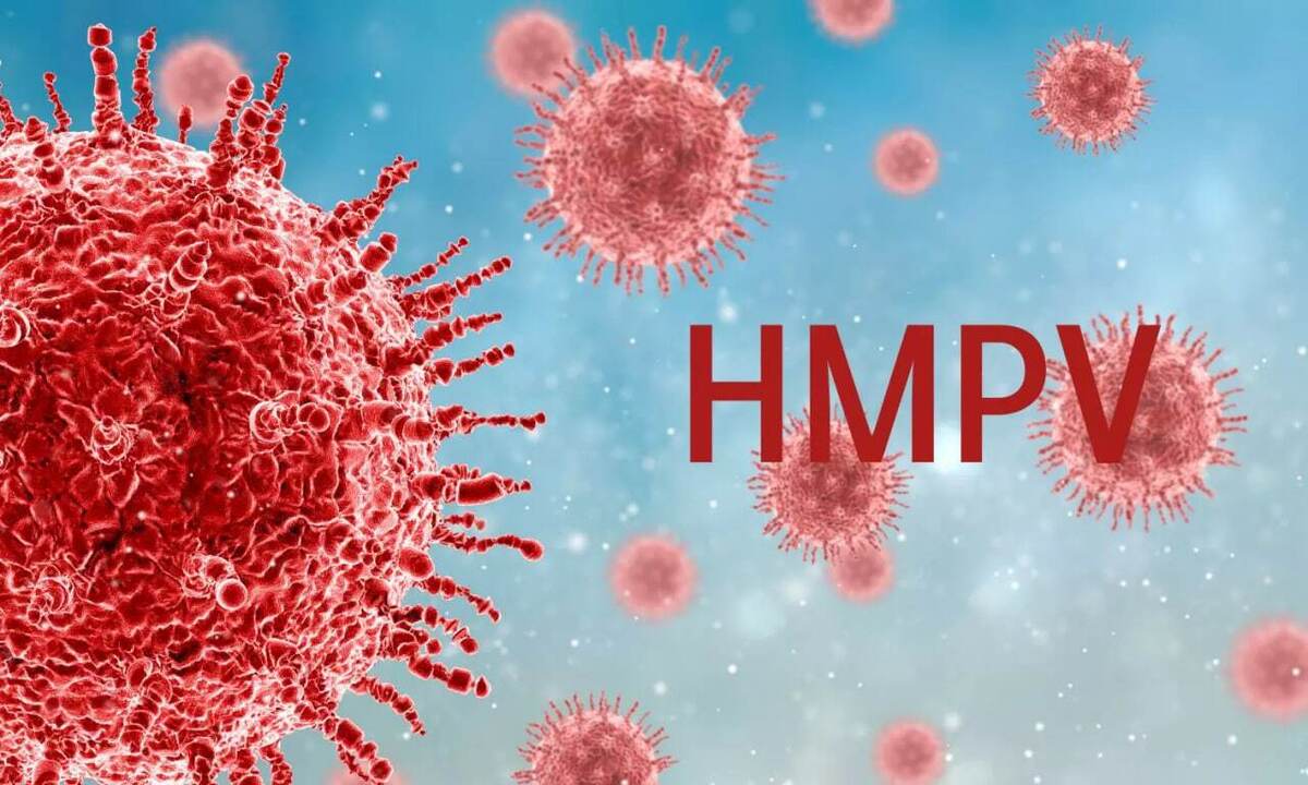 ویروس HMPV برای چه افرادی خطرناک است؟ + فیلم ویروس HMPV برای چه افرادی خطرناک است؟ + فیلم