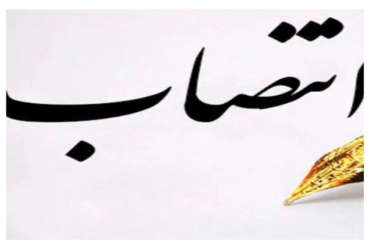 یک خانم فرماندار این شهر شد یک خانم فرماندار این شهر شد
