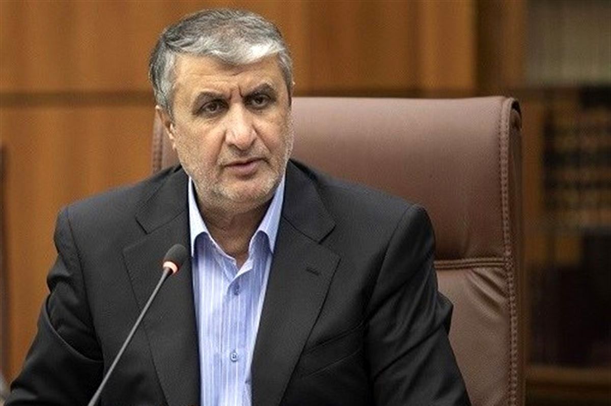 اسلامی: فشار دولت آمریکا بر آژانس مزاحمت ایجاد میکند / سند برجام را طاقت نیاوردند! اسلامی: فشار دولت آمریکا بر آژانس مزاحمت ایجاد میکند / سند برجام را طاقت نیاوردند!