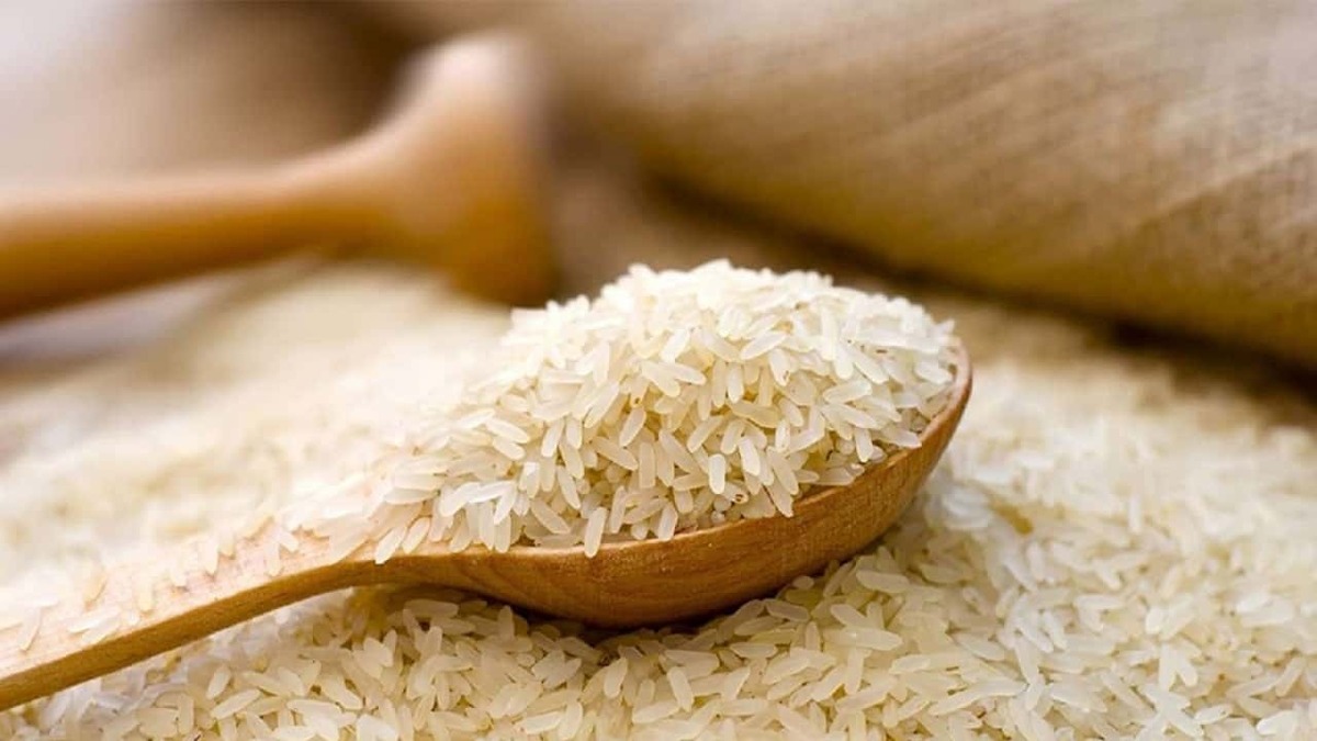 دلالها قیمت برنج مازندران را گران کردند؟ دلالها قیمت برنج مازندران را گران کردند؟