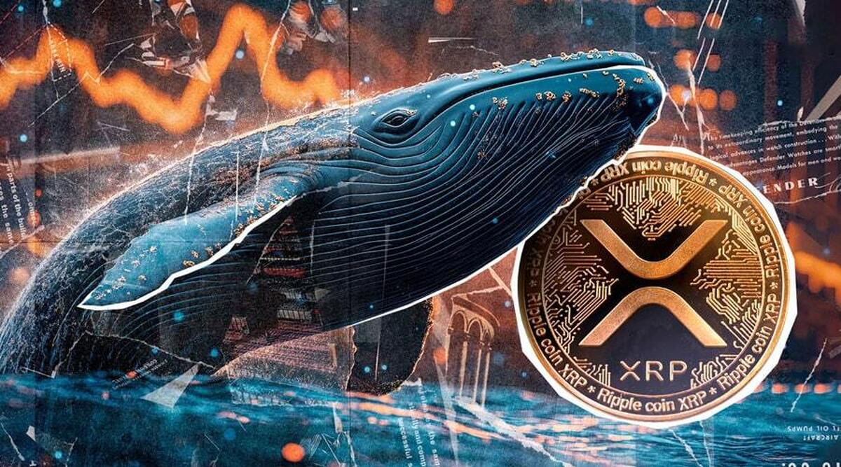 ریپل آماده انفجار قیمتی شد/ نهنگها ۳.۳ میلیارد دلار XRP انباشت کردند! ریپل آماده انفجار قیمتی شد/ نهنگها ۳.۳ میلیارد دلار XRP انباشت کردند!