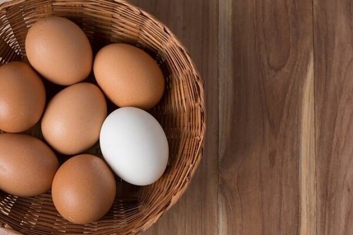 به این دلیل هر روز تخم مرغ بخورید به این دلیل هر روز تخم مرغ بخورید