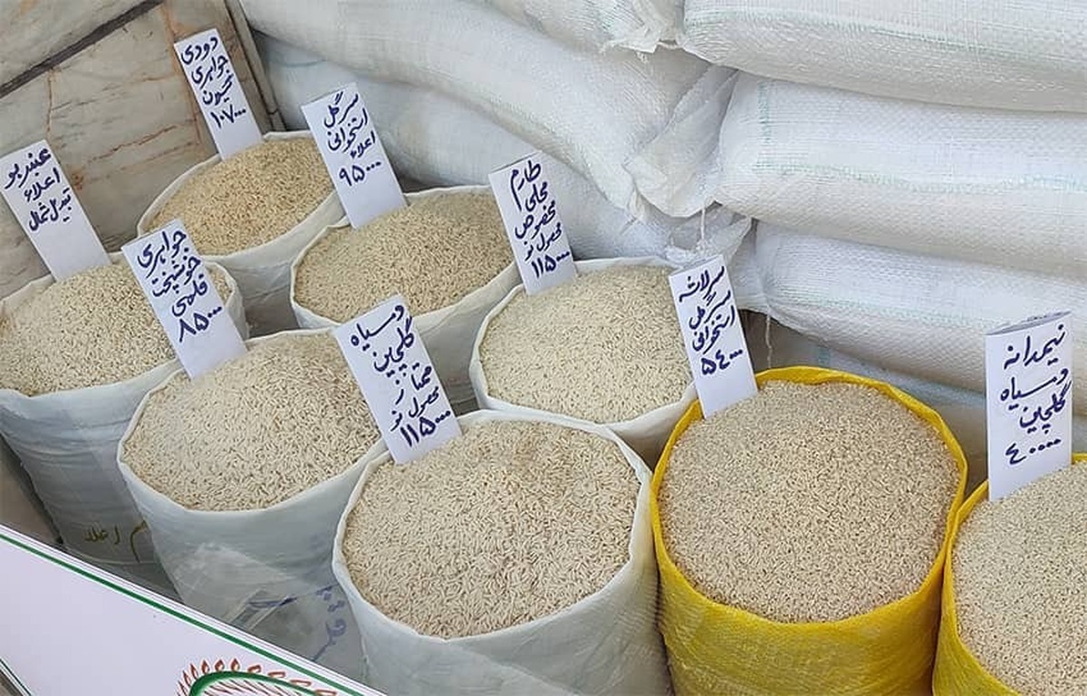 قیمت برنج ایرانی ۲۷ اسفند ۱۴۰۳ / برنج طارم محلی ممتاز چند؟ + جدول قیمت برنج ایرانی ۲۷ اسفند ۱۴۰۳ / برنج طارم محلی ممتاز چند؟ + جدول