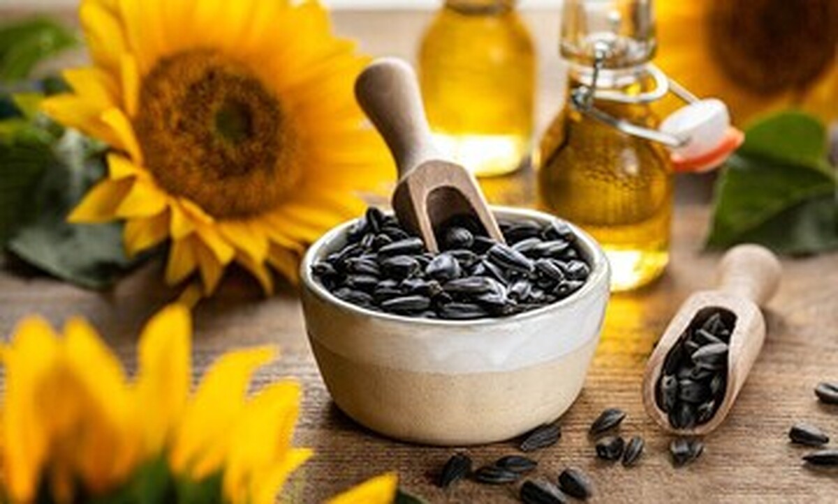 مبتلایان به دیابت و کبد چرب تخمه آفتابگردان مصرف کنند یا خیر؟ مبتلایان به دیابت و کبد چرب تخمه آفتابگردان مصرف کنند یا خیر؟
