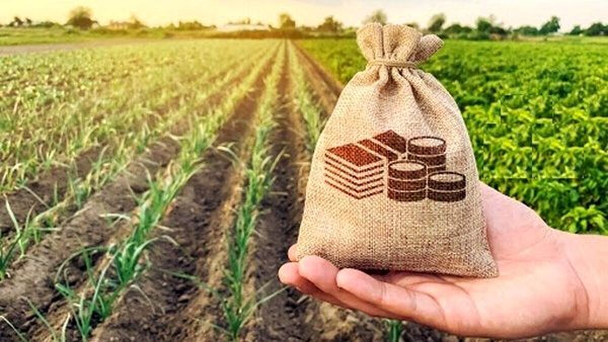 وام ۵۰۰ میلیون تومانی دولت به روستاییان وام ۵۰۰ میلیون تومانی دولت به روستاییان