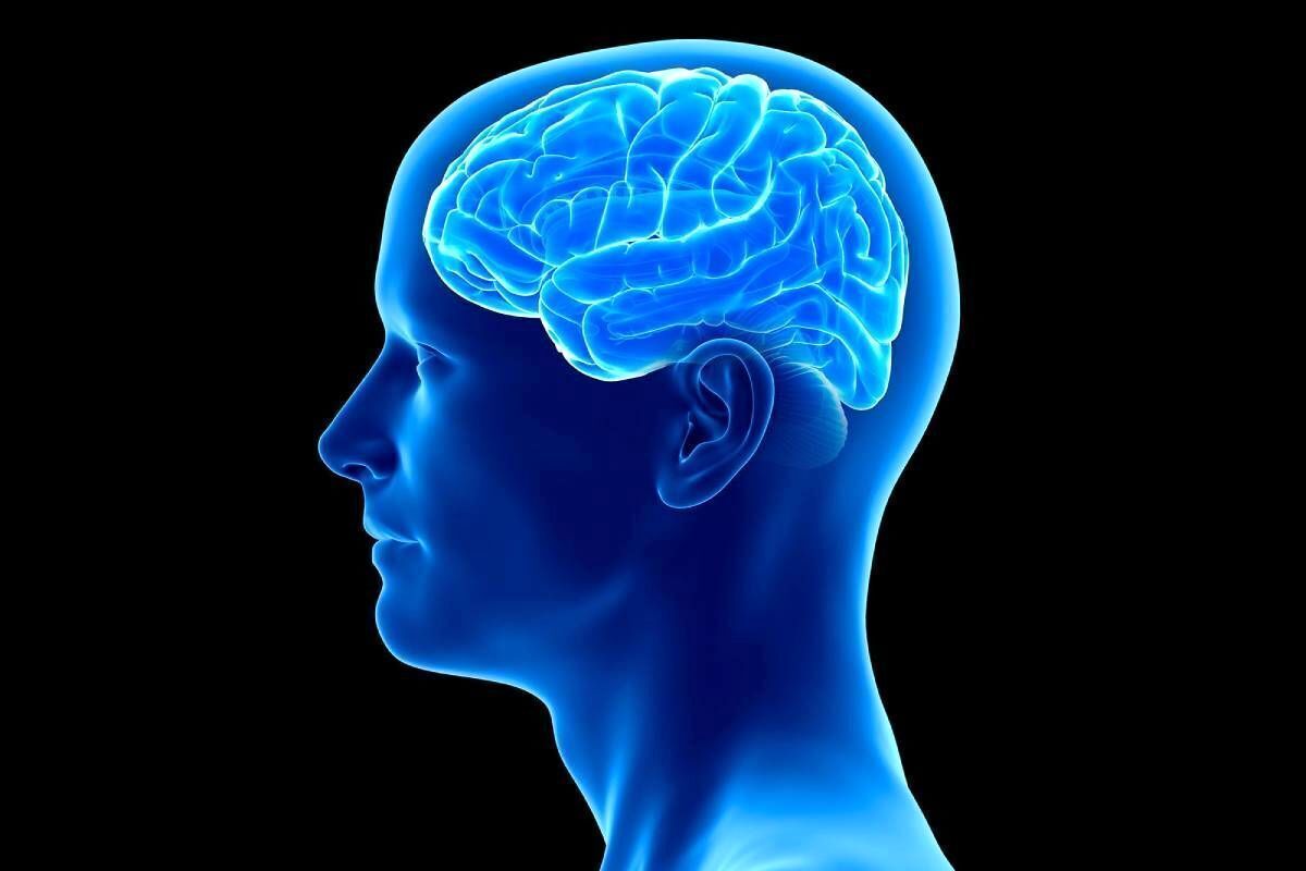 ۵ تفاوت اصلی بین فراموشی طبیعی و آلزایمر ۵ تفاوت اصلی بین فراموشی طبیعی و آلزایمر