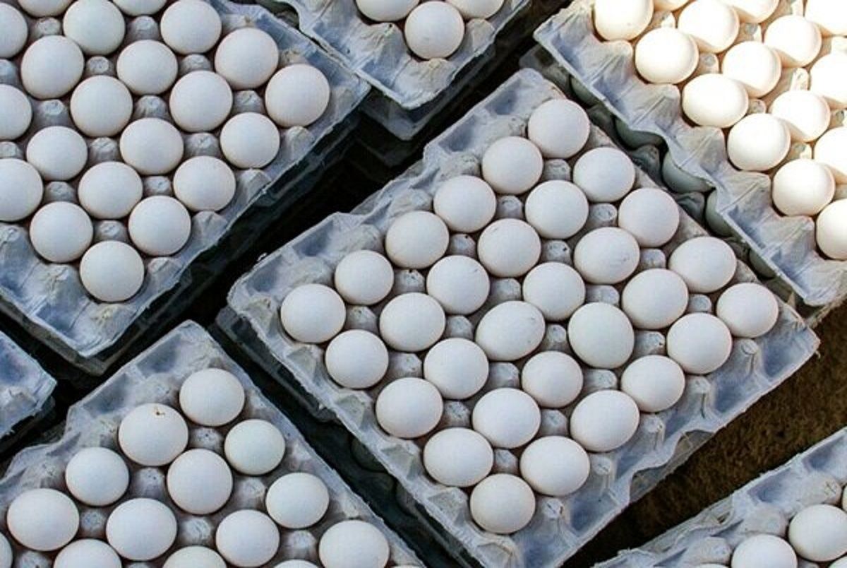 قیمت تخم مرغ چقدر شد؟ قیمت تخم مرغ چقدر شد؟