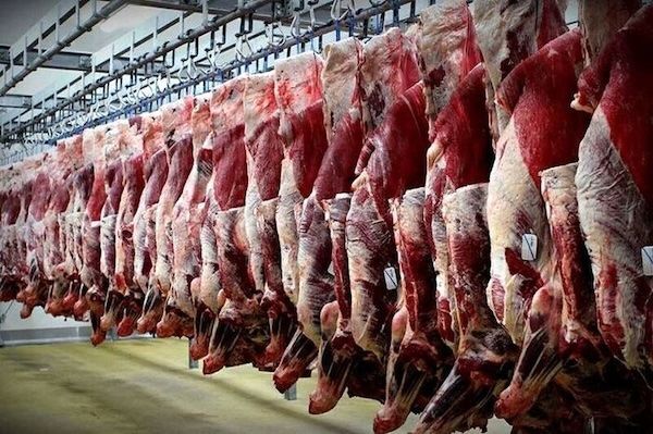 چرا توزیع گوشت دولتی فقط با صف ممکن است؟ چرا توزیع گوشت دولتی فقط با صف ممکن است؟